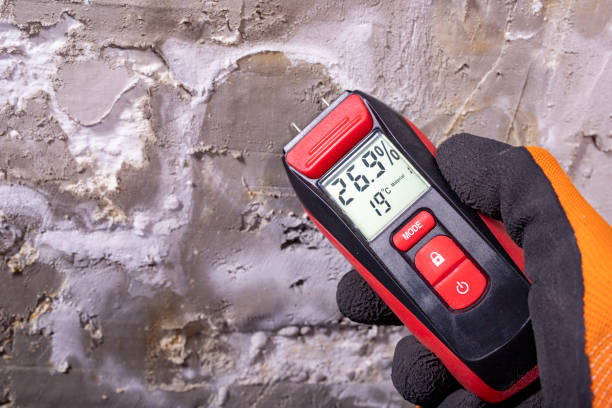 Attic Mold Removal in Coldwater, OH